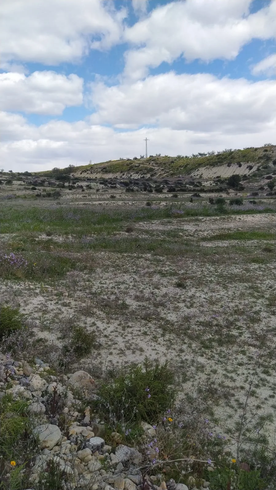 Vista de la parcela de La Lorra Baja hacia la ladera norte, cubierta de monte bajo y flores silvestres
